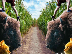 Evening running on a gravel farm road by Rob Briwa