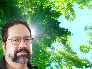 Amid Blossoms by William Blackburn