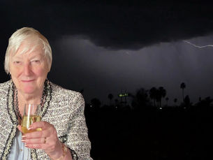 MONSTER VACANCY by Sarah Das Gupta