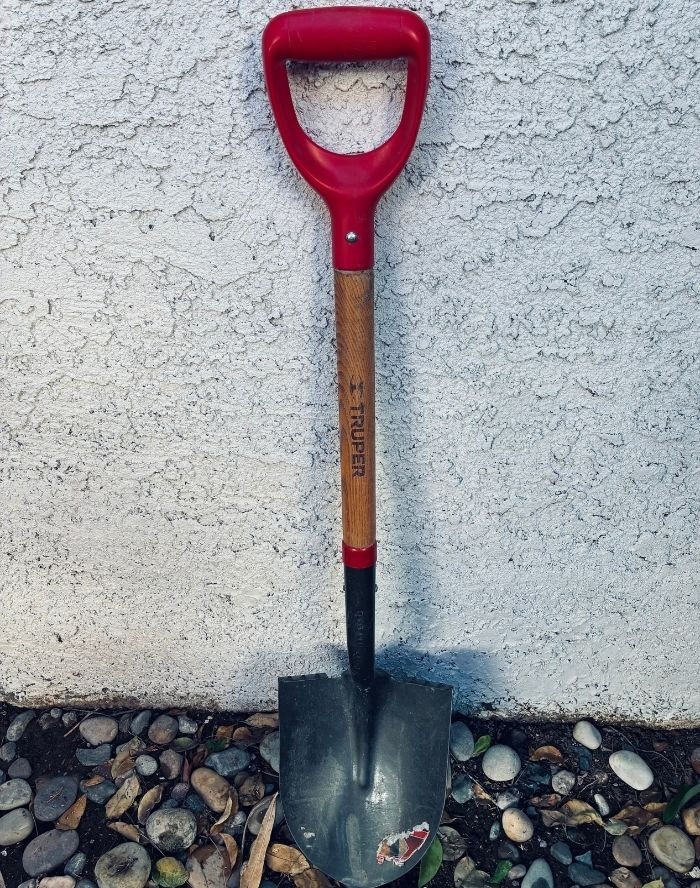 This Hole We Dig by Joely Williams