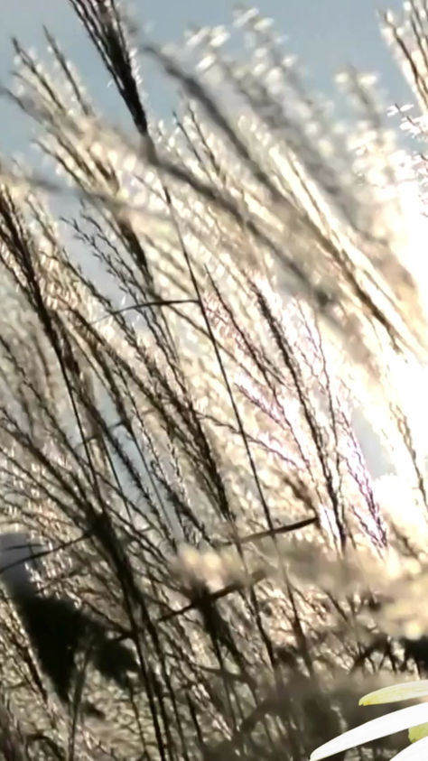 Two Poems by Everett Cruz