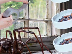 Two Poems by Justice Bellew