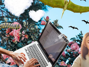 Just Between Wives by Hallie Havican