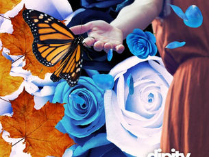 November by Mariam Ahmed