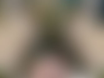 wishes in fishes by River