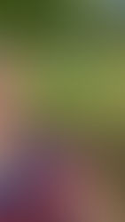 Always Waiting by Raymond Brunell