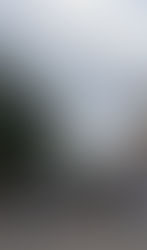 Say Their Names by Taylor Thomas