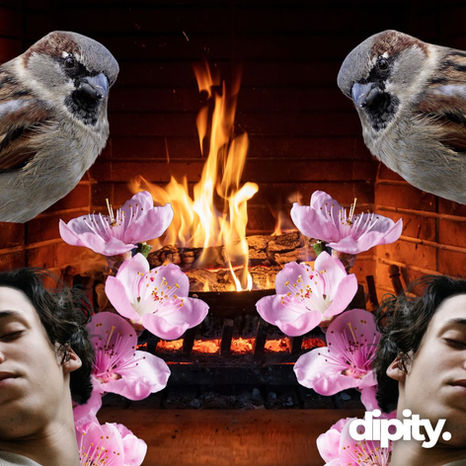 Three Poems by Ella Shively