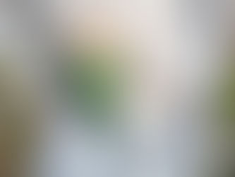 Living out my call during COVID.