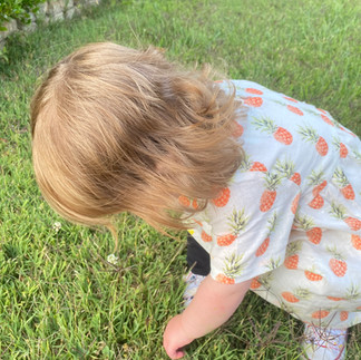 toddler picking flowers