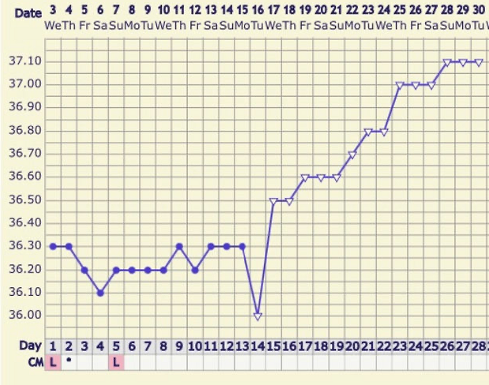 bbt chart