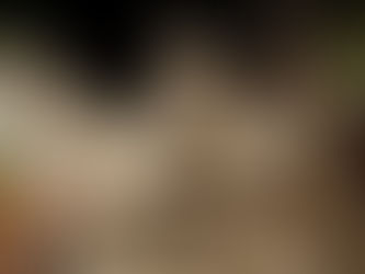 Een leeuw geheel gemaakt van zand.