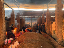 PF destrói meia tonelada de drogas apreendidas no Amapá