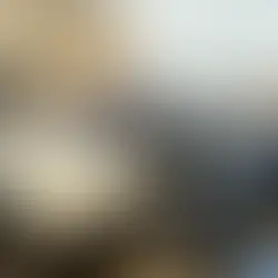 Governo e São Camilo asseguram continuidade dos atendimentos do SUS em audiência judicial