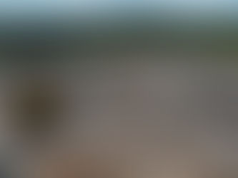 Racismo Ambiental: MPF pede à Justiça o fechamento do lixão de Macapá e indenização de R$ 5,7 milhões à comunidade quilombola