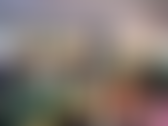 Amapá abre suas portas na COP30 e exibe seu plano socioambiental chamando a atenção do mundo