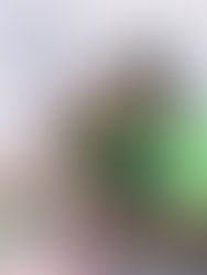 Governador Clécio anuncia auxílio-alimentação inédito de R$ 500 para quase 7 mil servidores da UDE no Amapá