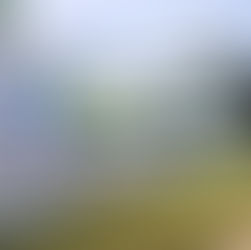 Farra dos cargos: mais de 500 pessoas são exoneradas de cargos de confiança na ALAP