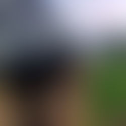 Ficco desmonta emboscada contra agente de segurança envolvido com o crime