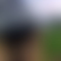 Ficco desmonta emboscada contra agente de segurança envolvido com o crime