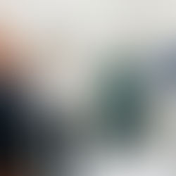 MP-AP inspeciona Hospital Veterinário a fim de apurar riscos de contaminação de doenças entre animais silvestres e domésticos