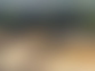 GARIMPO ILEGAL: AÇÕES DA PF REVELAM O AVANÇO DA DEVASTAÇÃO NO TUCUMAQUE E DESTRUIÇÃO GIGANTE DE FLORESTA NO AMAPÁ