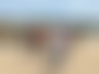 Tartarugalzinho decreta situação de emergência por seca severa