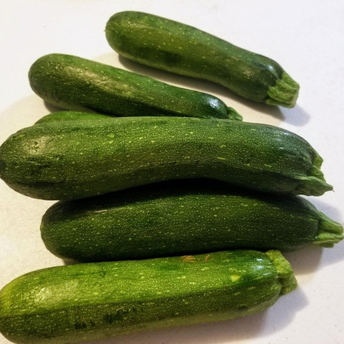 Zucchini Squash Holsey Farms