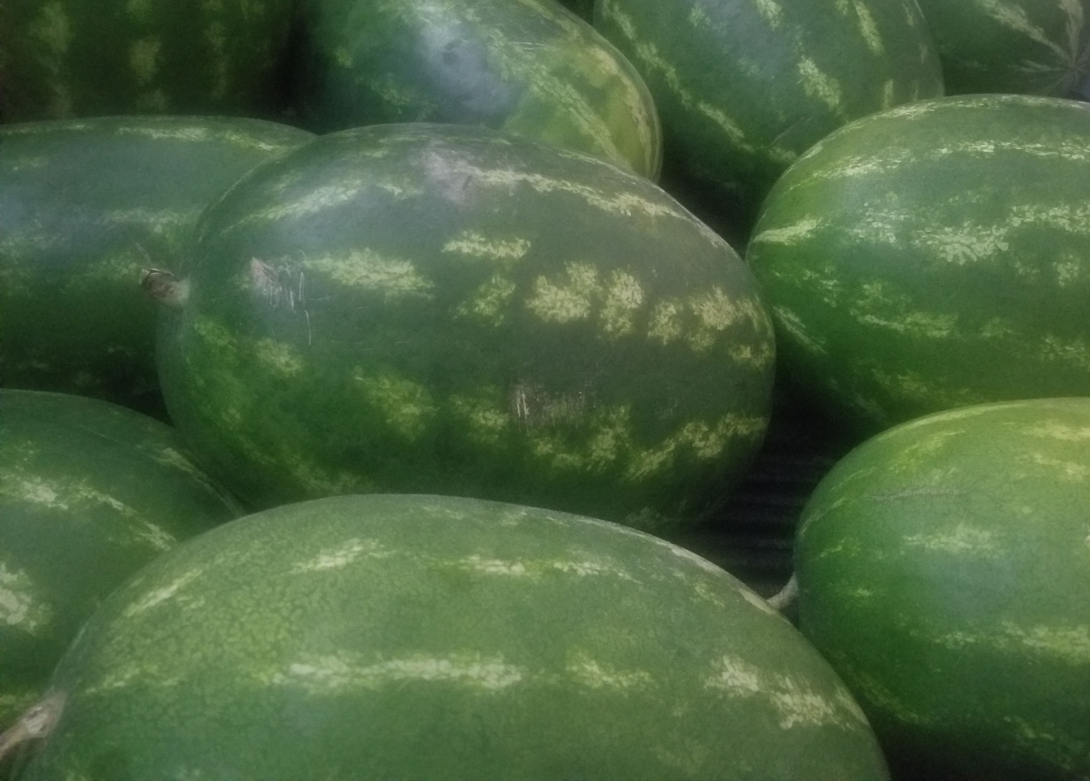 Watermelons with Seeds