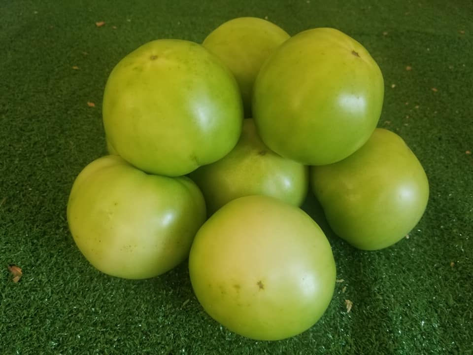 Thumbnail: Tomatoes