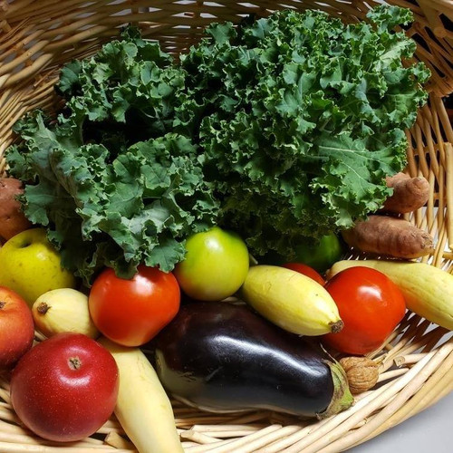 Wholesome Family Basket Holsey Farms