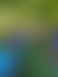 Hitting the COVID Curveball