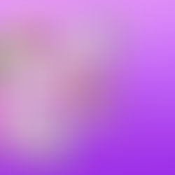 Pago de pauta en redes sociales