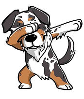 australian-shepherd-clipart-cartoon-8451