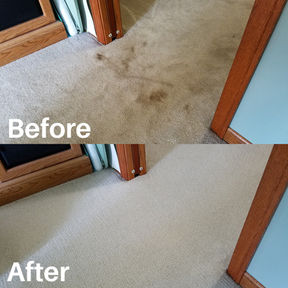 Before and after shots of heavily stained carpet
