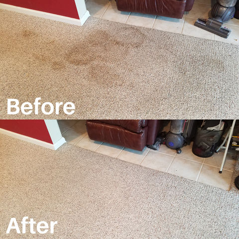 Deep urine stain restoration and odor removal