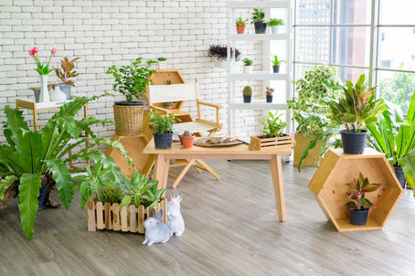 Sustainable Furniture