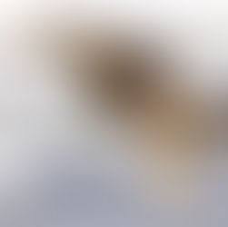 Làm Thành Lời Hứa