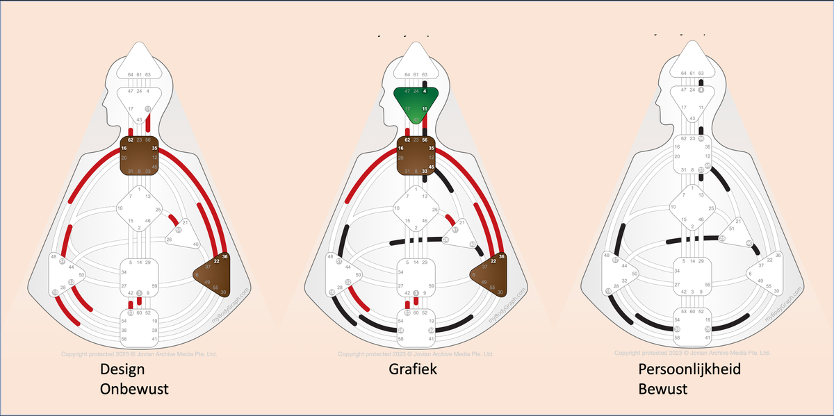 De lichaamsgrafiek uit het Rave ABC studieboek: Design (onbewust, rood) en Persoonlijkheid (bewust, zwart).