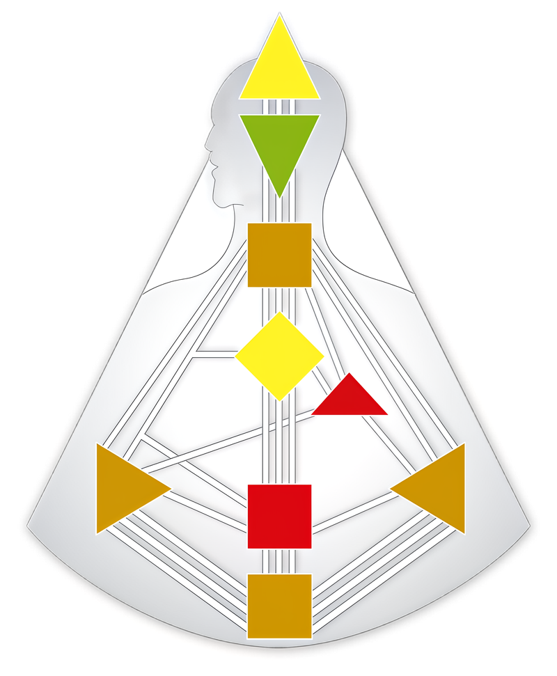 Lichaamsgrafiek met ingekleurde, gedefinieerde Centra en de kanalen die ze verbinden.