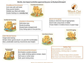 Supporting Mobility & Comfort: AJ, Our In-House Physiotherapist