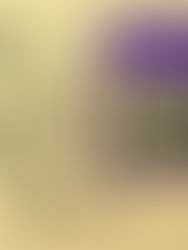 Презентация книги Элианы Адлер «В их руках: девичье еврейское образование в Российской империи»