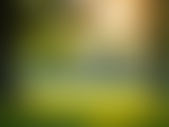 Finding the Balance: Navigating AI Data Needs and Privacy Concerns