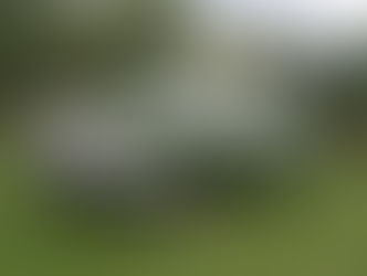 The Standard Sportsman