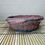 Thumbnail: Nanban Round (Shohin)