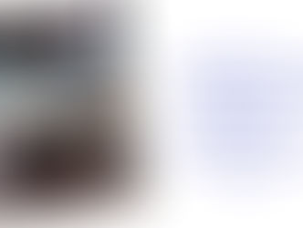 The Standard Car Review