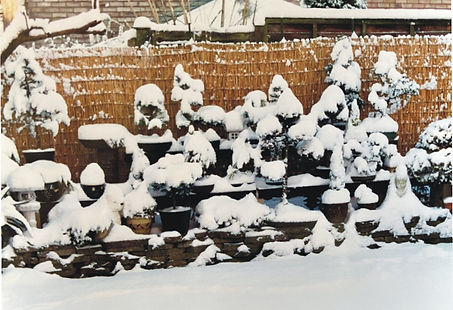 Snow 1.JPG