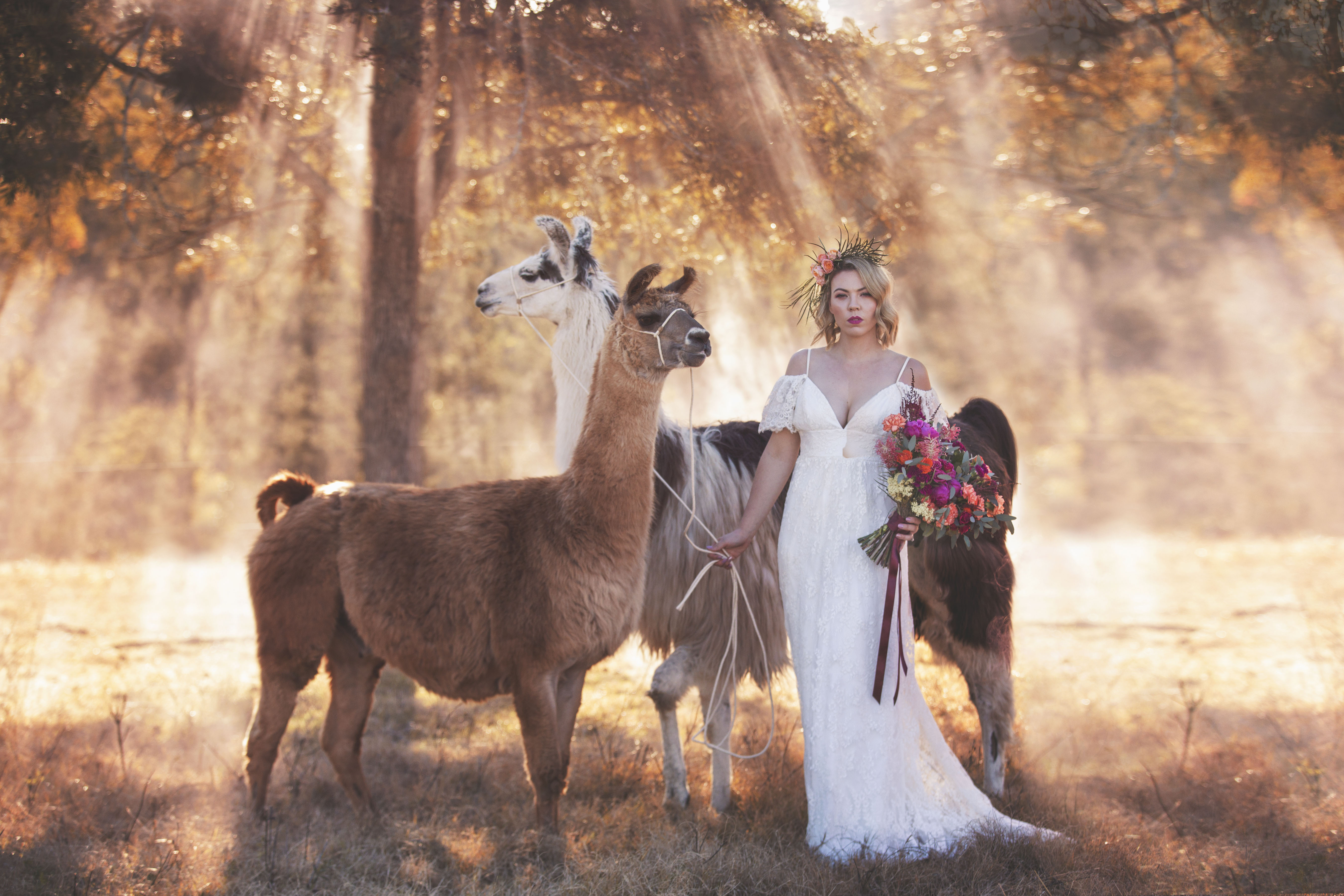 Melissa Waite Couture