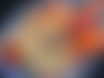 Steamed Lobster with Minced Garlic and Vermicelli Noodles