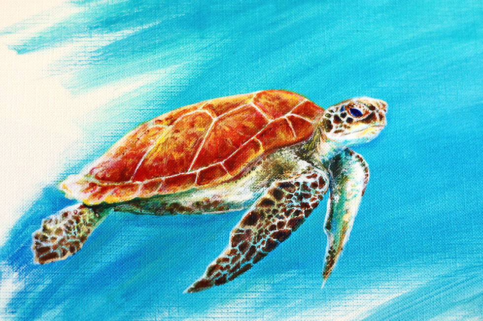 Thumbnail: Hawaiian Turtle Underwater Print | "Honu"